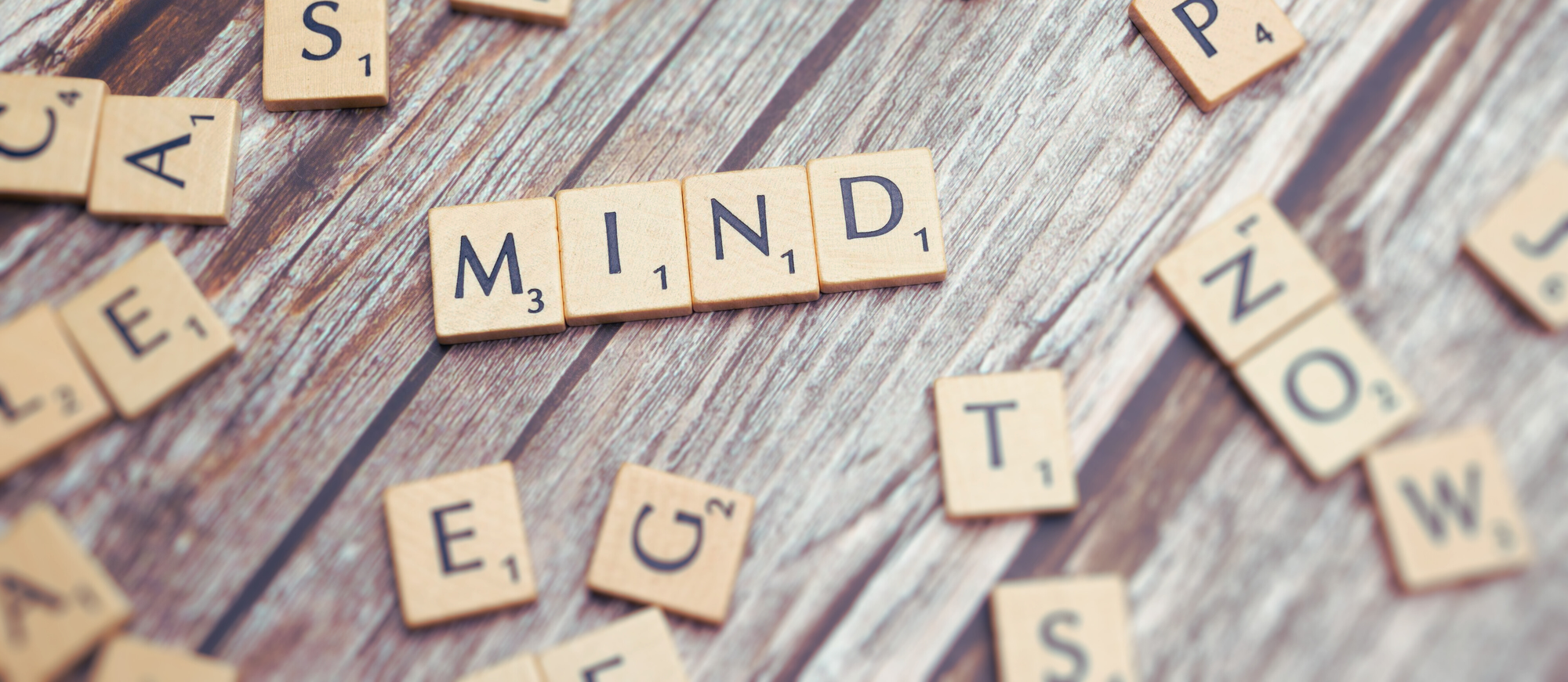Cognitive Support for the Active Mind